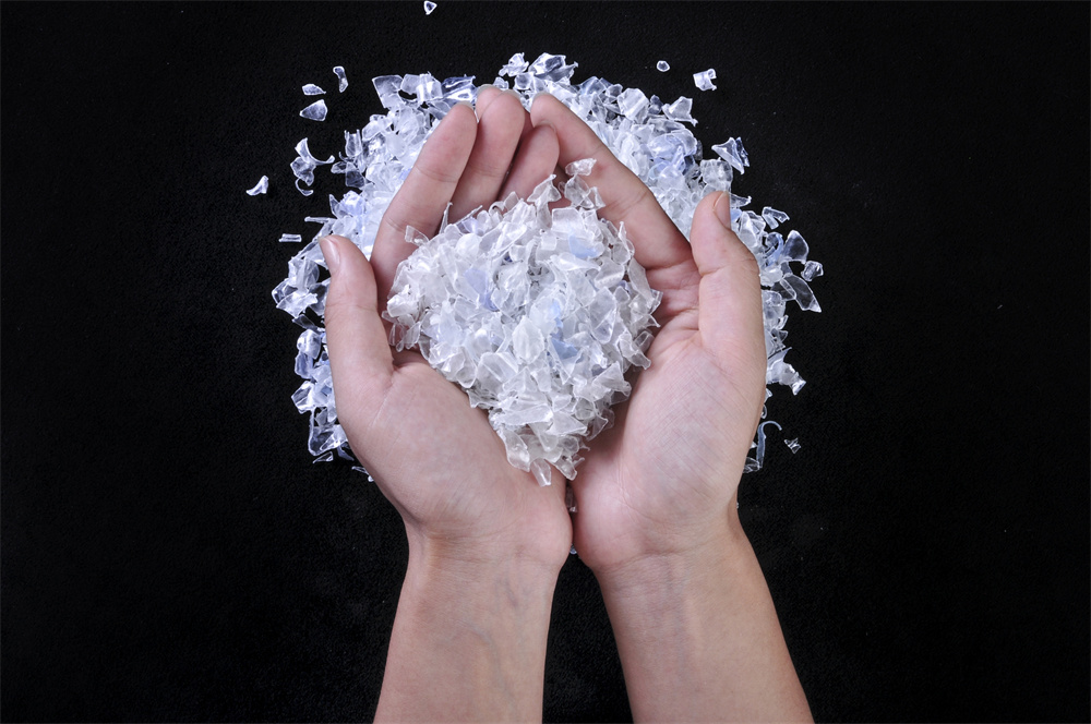 我們的主營(yíng)業(yè)務(wù)是什么